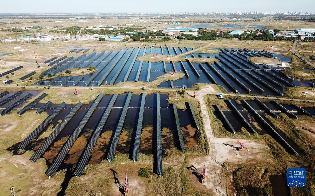 捕鱼游戏免费不用下载